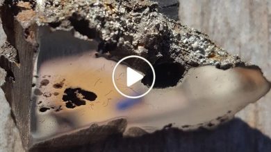 صورة اكتشاف معدنين ثمينين أغلى من الذهب ولا مثيل لهما على الأرض داخل نيزك سقط في دولة عربية (فيديو)