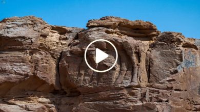صورة اكتشاف أثري نادر وغير مسبوق في دولة عربية وخبراء الآثار من كل حد وصوب يهرعون إلى المكان (فيديو)