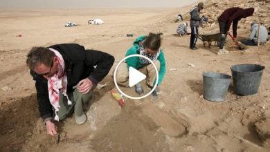 صورة بعثة آثار أوروبية تدخل سوريا لأول مرة وتعثر على كنز نادر لا تقدر قيمته بثمن في منطقة سورية نائية (فيديو)