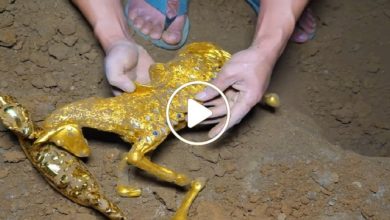 صورة جهاز للكشف عن الذهب والمعادن يقود مواطناً عربياً لاكتشاف ترسانة كنوز نادرة لاتخطر على البال (فيديو)