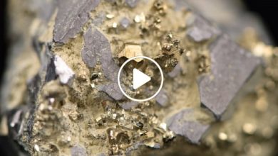 صورة قرية سورية تفصح عن كنز نادر لا مثيل له والسكان يعثرون على كميات كبيرة من الذهب الخالص (فيديو)