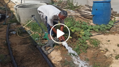 صورة مزارع سوري يخترع أسلوب جديد مبتكر لري أرضه ويكسب من خلاله آلاف الدولارات شهرياً (فيديو)
