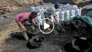 صورة مهنة جديدة تنتشر في سوريا وتدر أرباح تضاهي الذهب على العاملين فيها دون الحاجة إلى رأس مال (فيديو)
