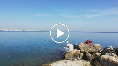 صورة هواية صيد الأسماك في سوريا تتحول إلى مهنة شعبية تدر أرباح مالية معتبرة على العاملين فيها (فيديو)