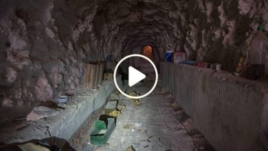 صورة اكتشاف كميات هائلة من الذهب الخالص ومليارات الدولارات مخبأة داخل براميل في منطقة سورية (فيديو)