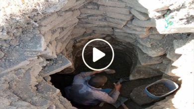 صورة رجل بسيط يبتسم له الحظ حين قرر حفر بئر بفناء منزله ليعثر على كنز نادر قيمته ملايين الدولارات (فيديو)