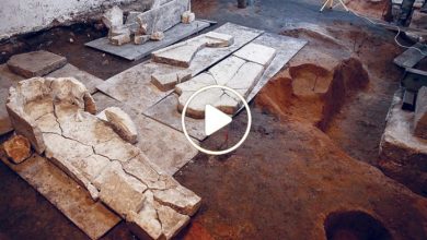 صورة اكتشاف واحداً من أكبر القصور الأثرية في سوريا ومفاجأة ظهرت خلال عمليات التنقيب (فيديو)