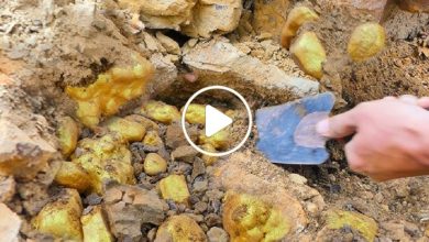 صورة لأول مرة في سوريا.. اكتشاف كميات هائلة من الذهب والألماس في منطقتين وسر مهم يظهر للعلن (فيديو)