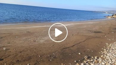 صورة ظاهرة انحسار مياه البحر المتوسط في سوريا تتوسع وخبراء يشرحون مدى خطورتها وتأثيرها (فيديو)