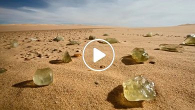 صورة العثور على مادة غريبة في صحراء دولتين عربيتين يقود العلماء لحل لغز عمره ملايين السنين (فيديو)