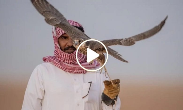 موسم صيد الطيور الحرة في سوريا
