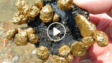 صورة اكتشاف كميات ضخمة من الذهب الخام في دولة عربية عبر التنقيب بأجهزة تكنولوجية حديثة (فيديو)