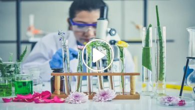 صورة زهرة خارقة تقود العلماء إلى اكتشاف لا مثيل له في مجال إنتاج الأدوية الصديقة للبيئة (فيديو)