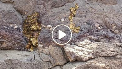 صورة طريقة معرفة وجود الذهب في التراب بدون الحاجة إلى استخدام أجهزة الكشف عن المعادن (فيديو)