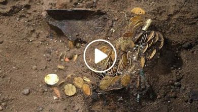 صورة مزارع سوري يعثر على كنز أثري نادر وصناديق تحتوي على الذهب في أرضه قرب دمشق (فيديو)