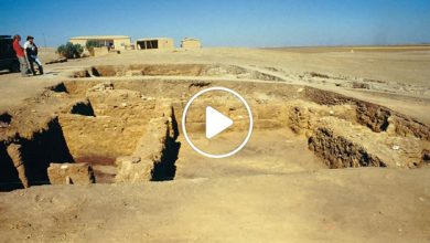 صورة اكتشافات أثرية نادرة في سوريا ستغير قراءة التاريخ وتكتبه من جديد (فيديو)