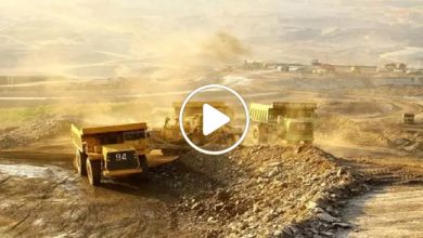صورة دولة عربية تفصح عن اكتشافها كميات كبيرة من الذهب والمعادن ستجعلها من بين الأغنى عالمياً (فيديو)