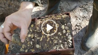 صورة سوري يعثر على كنز غريب وكميات من الذهب عن طريق الصدفة وما حدث بعد ذلك لم يكن متوقعاً (فيديو)