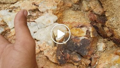 صورة سعر الغرام منها 10 آلاف دولار.. اكتشاف مادة وموارد طبيعية أغلى من الذهب في سوريا (فيديو)