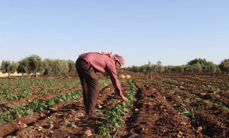 مزارع سوري يبتكر مشروع