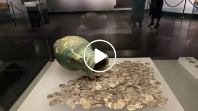 صورة مزارع عربي يعثر على كنز من العملات الذهبية النادرة وما حدث بعد ذلك أذهل الجميع (فيديو)