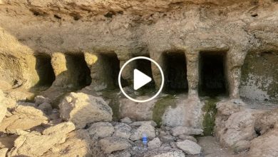 صورة اكتشاف كميات كبيرة من الكنوز وأعجوبة تاريخية لا مثيل لها في دولة عربية وسط ذهول  الخبراء (فيديو)