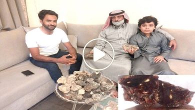 صورة صدفة غريبة تقود طفل عربي إلى العثور على كنز ضخم ليصبح مليونيراً بلمح البصر (فيديو)