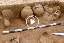 صورة اكتشاف مدينة أثرية وكميات كبيرة من الكنوز النادرة في دولة عربية عن طريق الصدفة (فيديو)