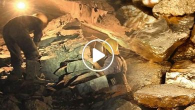 صورة اكتشاف مناطق سورية تحتوي على أطنان من الذهب والمعادن باهظة الثمن وخبير يتحدث عن أهميتها (فيديو)