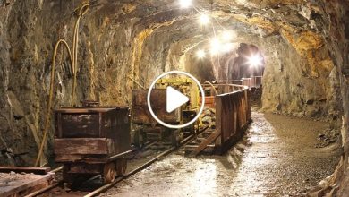 صورة العثور على مخزون ضخم من الذهب والمعادن في دولة عربية تقودها لتكون قوة اقتصادية عالمية كبرى (فيديو)