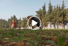 صورة كأنه يزرع الذهب.. مزارع في إدلب ينجح في زراعة عشبة برية ويبيع الكيلو منها بـ 20 ألف دولار (فيديو)