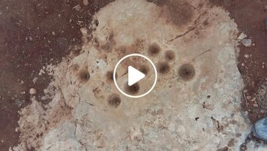 صورة مزارع سوري رصد رسم غريب فقاده لاكتشاف كنز ضخم في أرضه قيمته ملايين الدولارات (فيديو)