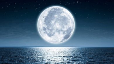 صورة اليوم القمري كم يوم يساوي على الأرض وما هو الوقت الفعلي على القمر..؟
