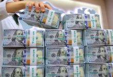 سيدة مشروع 1000 دولار