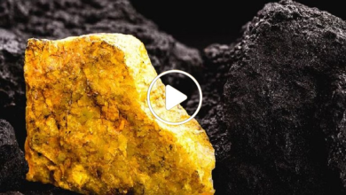 صورة اكتشاف كميات كبيرة من مادة نادرة باهظة الثمن في دولة عربية تجعل أنظار العالم بأكمله تتجه إليها (فيديو)