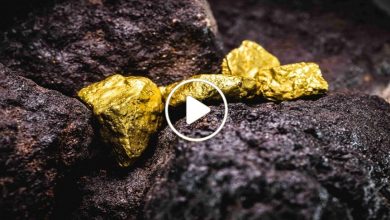 صورة من أين جاء الذهب وكيف تتشكل المعادن الثمينة في باطن الأرض.. خبراء يتوصلون إلى حل اللغز (فيديو)