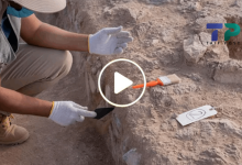 صورة خبراء أجانب يدخلون منطقة سورية لأول مرة ويتوصلون إلى اكتشاف أثري نادر وسر أذهل العلماء (فيديو)