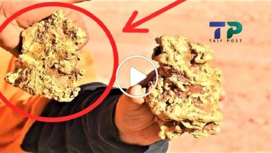 صورة أهم العلامات التي تدل على وجود الذهب في الأرض وخبير يشرح أفضل طريقة لاكتشاف الكنوز (فيديو)