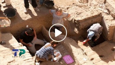 صورة خبراء أجانب يدخلون سوريا بمهمة خاصة ويتوصلوا إلى اكتشاف أثري نادر جعل الجميع في حيرة وذهول (فيديو)
