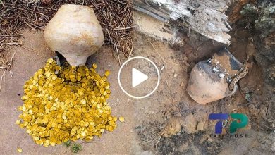 صورة لأول مرة في سوريا.. منطقة تعوم على الذهب حفروا لصيانة شبكة الكهرباء فظهر لهم كنز أصابهم بالذهول (فيديو)