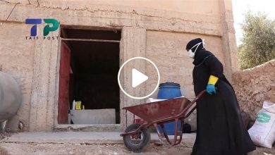 صورة لأول مرة شرق سوريا.. سيدة تبدع في ابتكار مشروع فريد من نوعه وتجني آلاف الدولارات (فيديو)