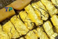 صورة ورق عنب الذهب.. مطعم في دولة عربية يقدم وجبة فريدة مصنوعة من المعدن الثمين بسعر فلكي (فيديو)