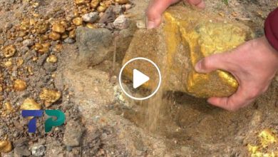 صورة جيولوجيا الذهب وأماكن تموضع المعدن الأصفر الثمين.. إليكم أفضل وسيلة لاكتشاف الذهب في الطبيعة (فيديو)