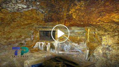 صورة أماكن تواجد الذهب والكنوز في سوريا وخبير يشرح أفضل طريقة للبحث عنها واكتشافها (فيديو)
