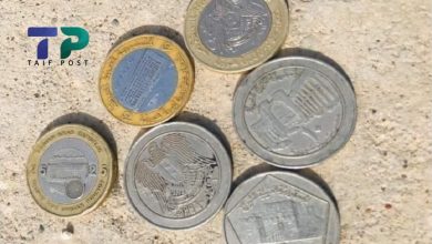 صورة العملات السورية القديمة تتحول إلى تجارة تدر أرباح خيالية على العاملين بها.. كم يبلغ سعر كل فئة نقدية قديمة؟