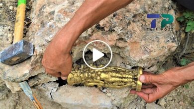 صورة خرائط الكنوز تقود شاب سوري إلى اكتشاف أقدم المعادن الثمينة بعد شراء أحدث جهاز للكشف عن الذهب (فيديو)