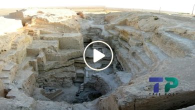 صورة اكتشاف أثري نادر في سوريا وخبراء أجانب يعثرون على كنوز ضخمة ولغز محير أصابهم بالذهول (فيديو)