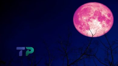 صورة قمر الفراولة يزين سماء سوريا قريباً.. إليكم موعد حدوثه وإمكانية تلون القمر باللون الأحمر