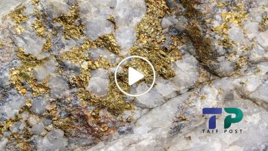 صورة خصائص الصخور في منطقة سورية تكشف عن كميات هائلة من خام الذهب تكفي السوريين لمئات السنين (فيديو)