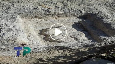 صورة اكتشاف أثري نادر في منطقة سورية تكتنز مواقع أثرية متأصلة قيمتها مليارات الدولارات (فيديو)